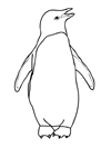 penguenler-49