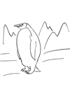 penguenler-3