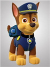 paw-patrol