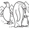 penguenler-20