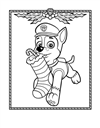 paw-patrol-33