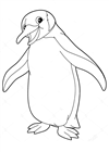 penguenler-34