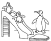 penguenler-29