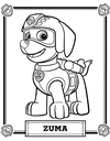 paw-patrol-26