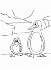 penguenler-48