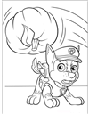 paw-patrol-9