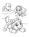 paw-patrol-19