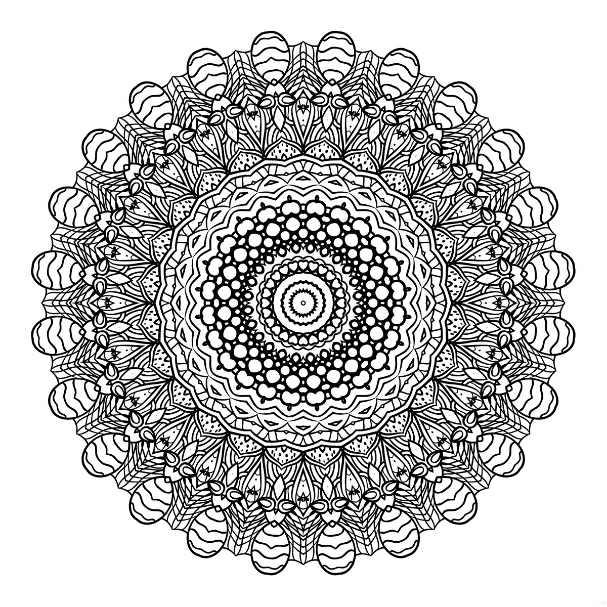 cini-5