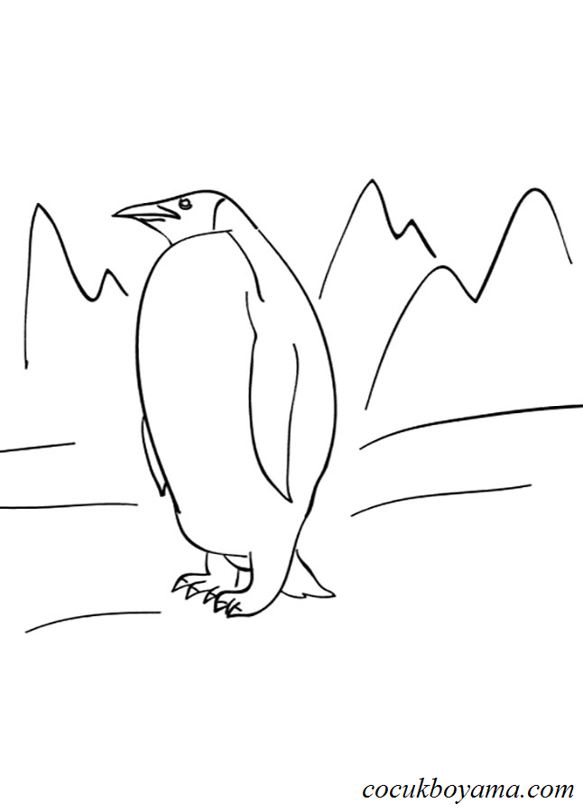 penguenler-3