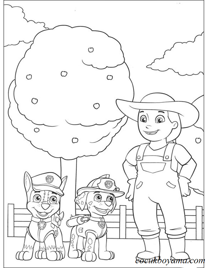 paw-patrol-39