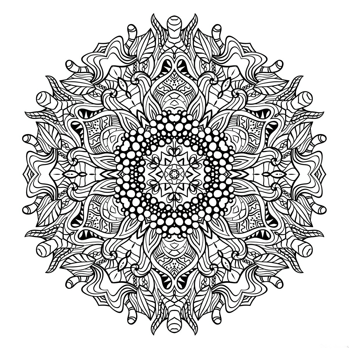 cini-6