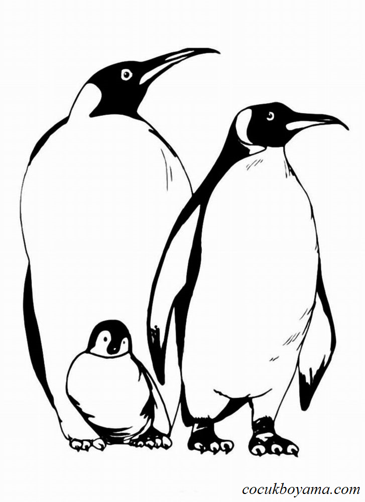 penguenler-70