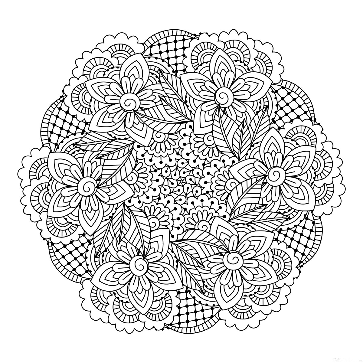 cini-7