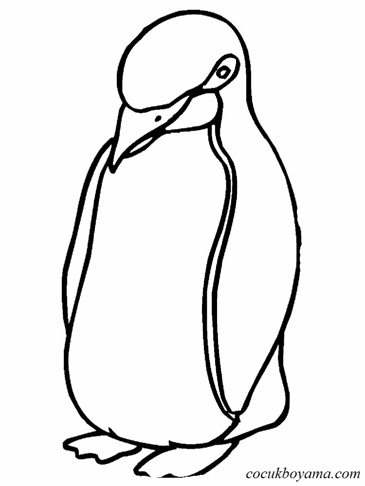 penguenler-12