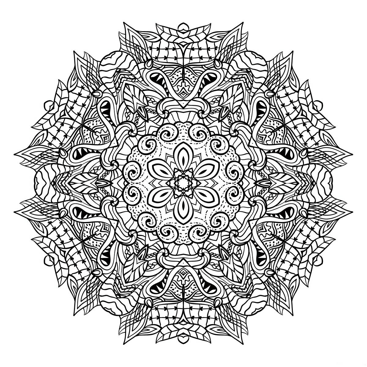 cini-4