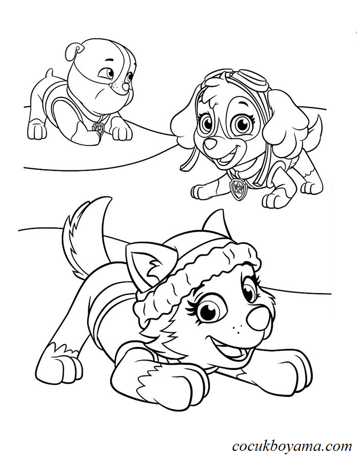 paw-patrol-19