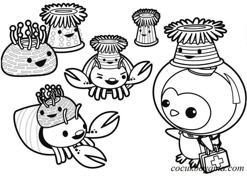 the-octonauts