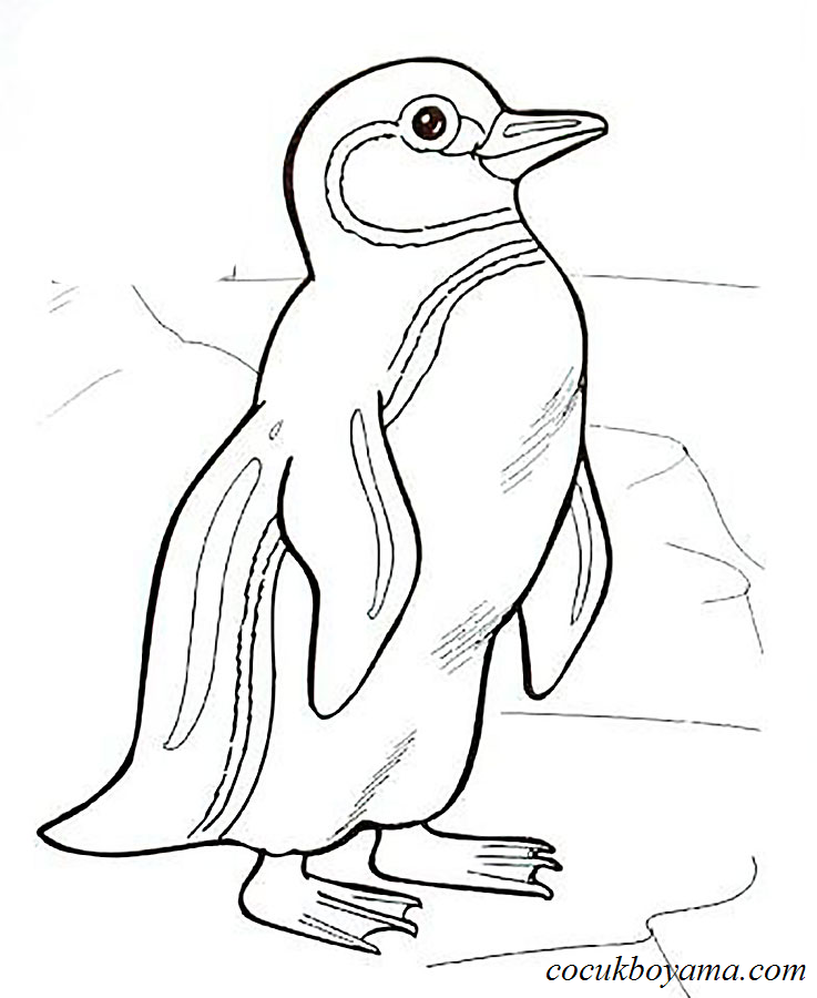 penguenler-1