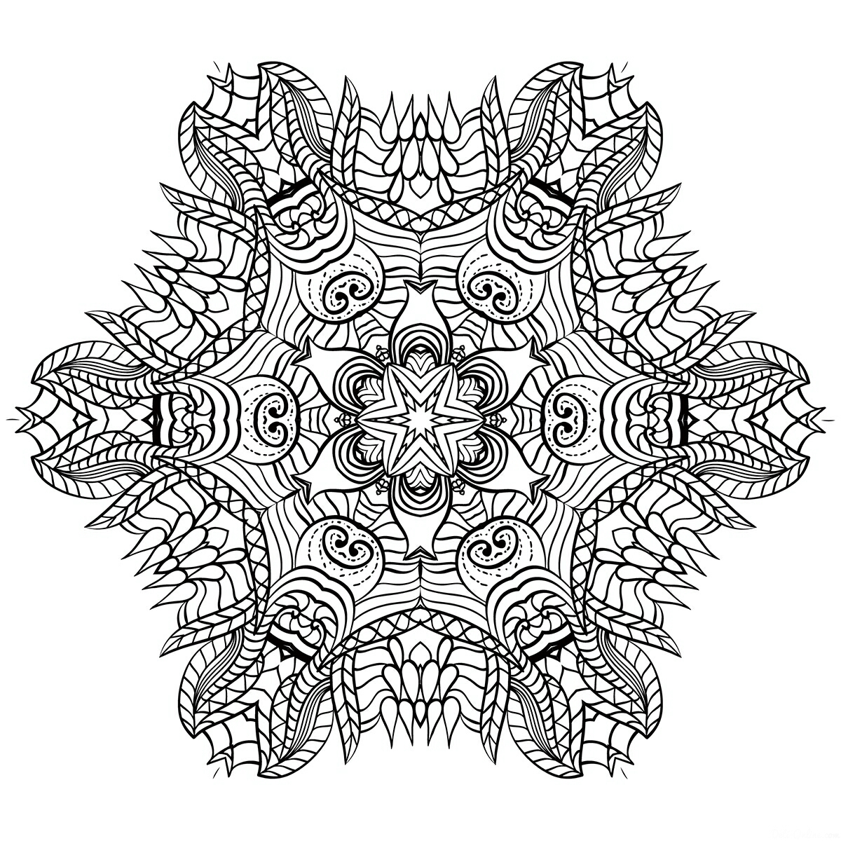 cini-1
