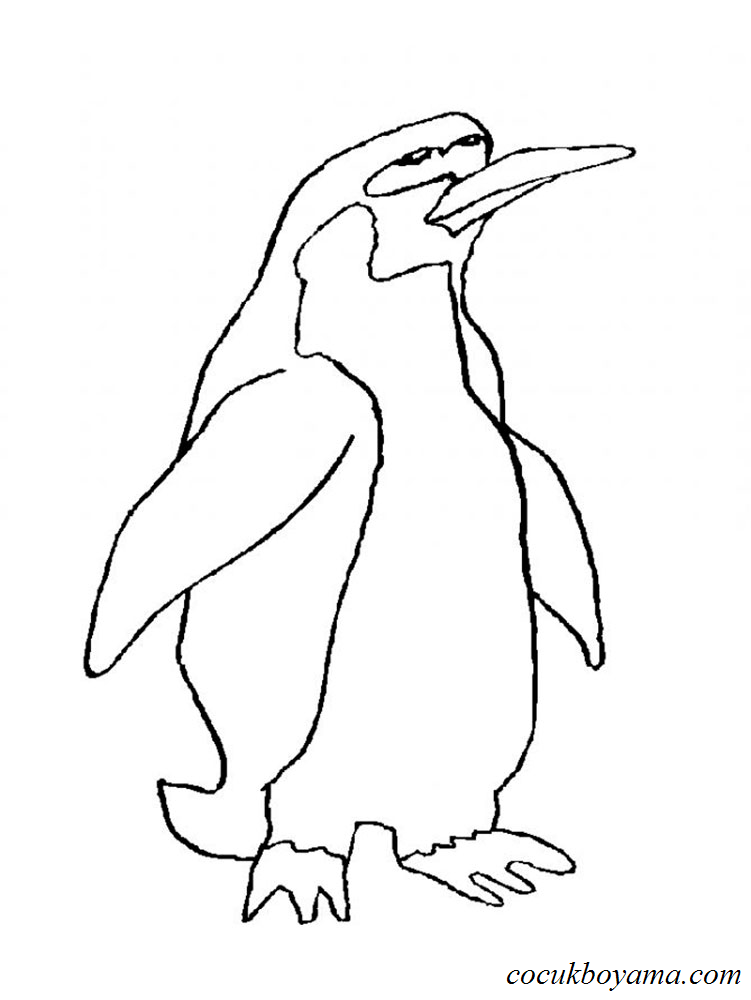 penguenler-52